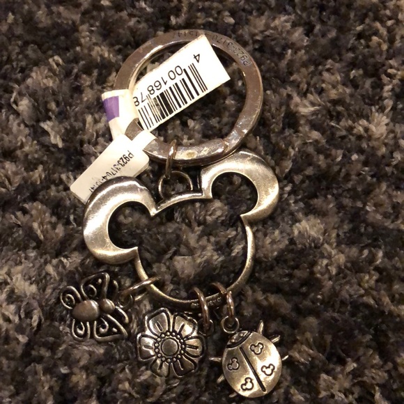 Disneyland keychain - Picture 2 of 2